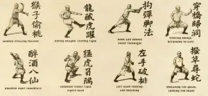 Hiyaa Martial Art Podcast Episode 7 Hung Gar