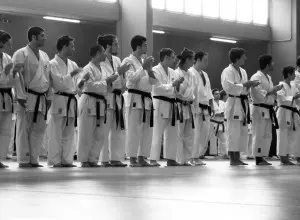 Hiyaa Martial Arts Podcast Episode 25 Mailbag