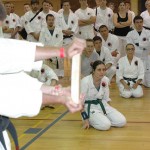 Hiyaa Martial Art Podcast Episode 43 Board Breaking Karate