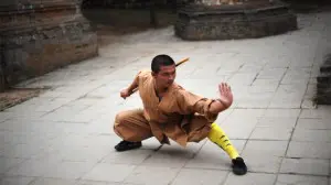 Shaolin Monk in Low Kung Fu stance