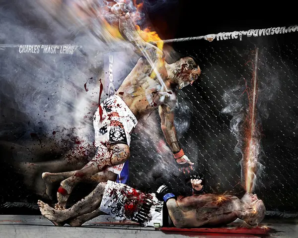 MMA by the numbers